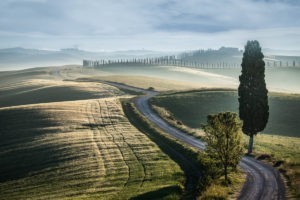 tuscany fog 4