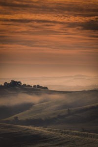 Sunset and Fog