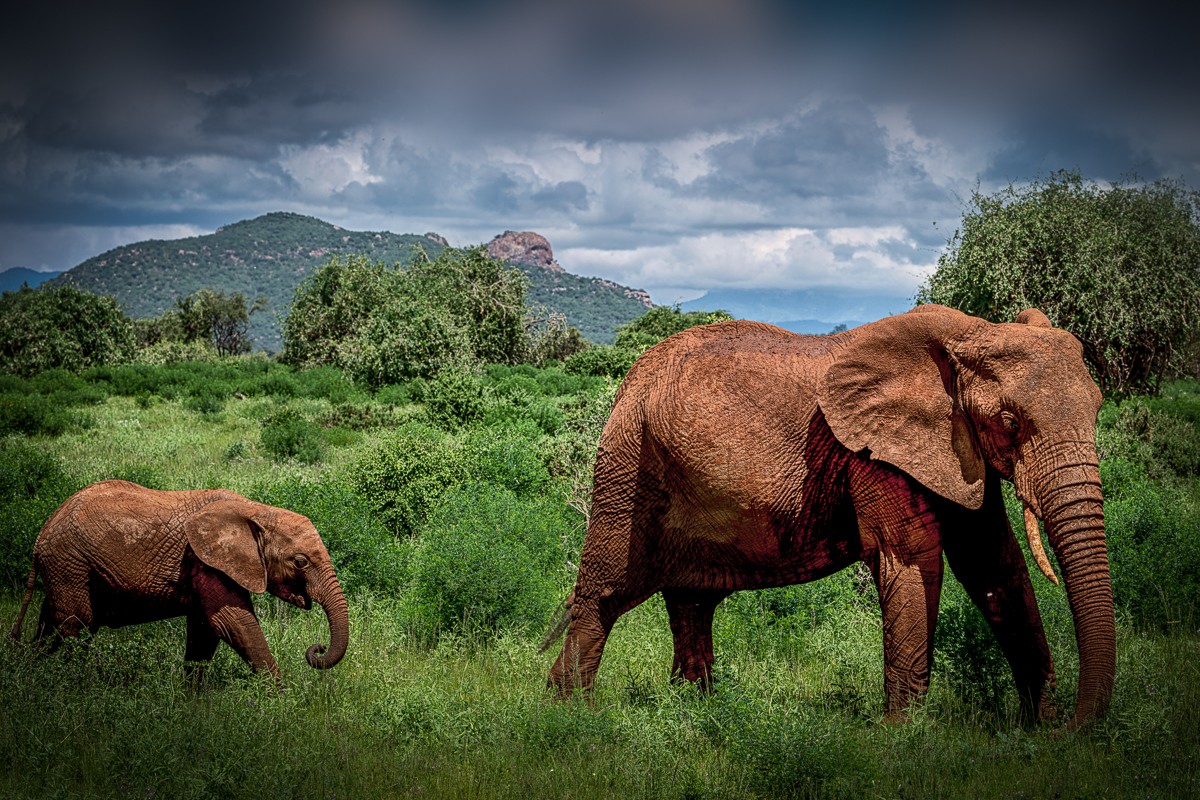 ET_KE_SAMBURU_2019_01393-H1