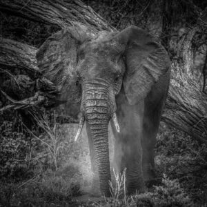 ET_KE_SAMBURU_2019_02187-Q