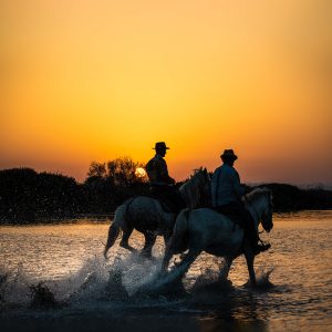 Bom Dia - Camargue