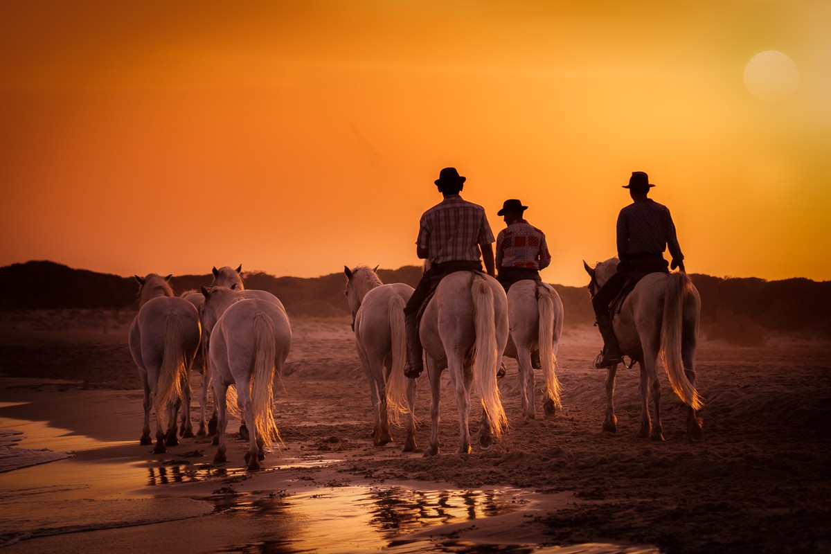 The Riders and The Horses