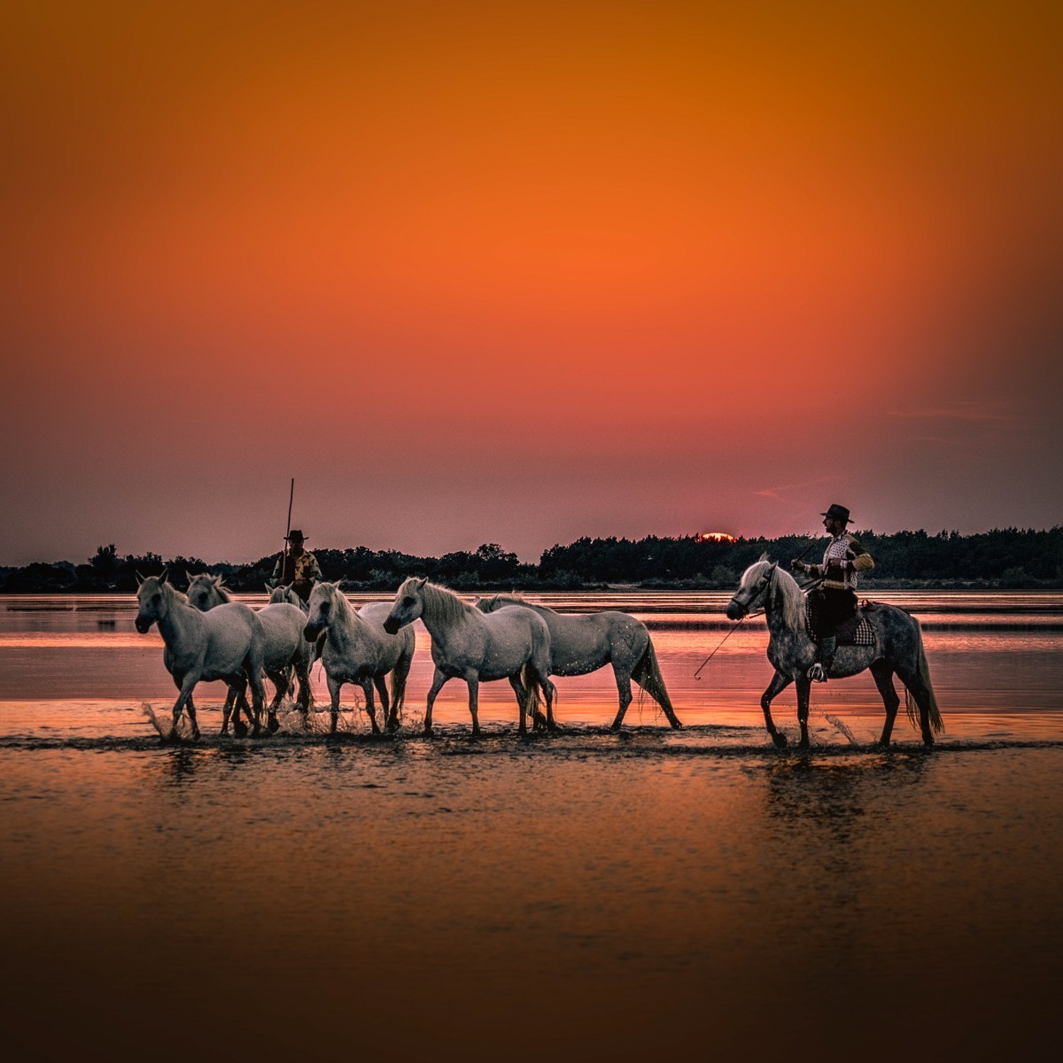 White Angels at Sunrise
