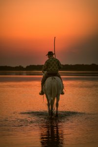 Sigle Rider at Sunrise