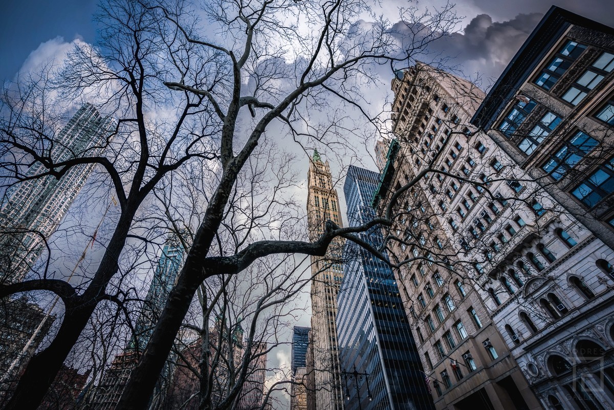 New York New York - 01084
