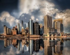 Passarinhos em Manhattan - 01094