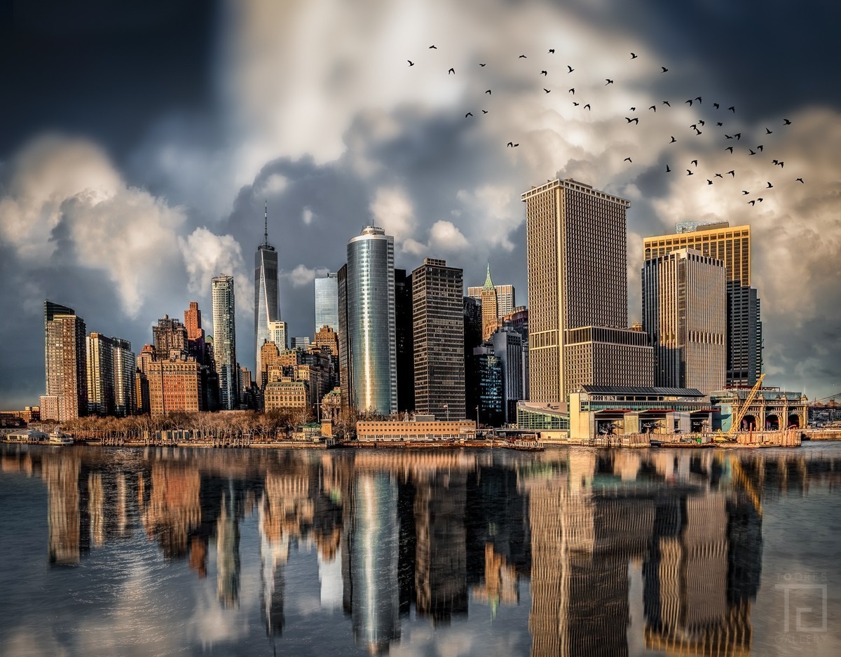 Passarinhos em Manhattan - 01094