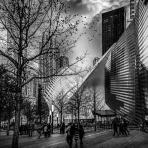 Arquitetura 1 - 01113