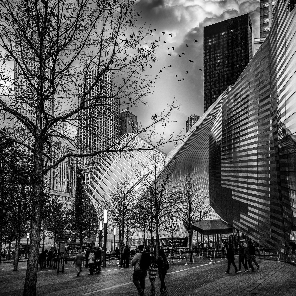 Arquitetura 1 - 01113