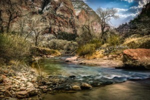 Zion National Park - 01129