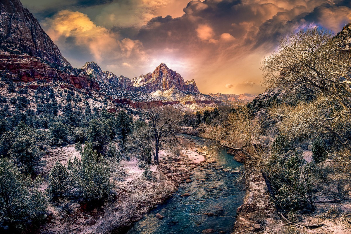 Zion River 2 - 01135-2