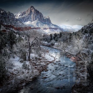 Zion River 1 - 01137