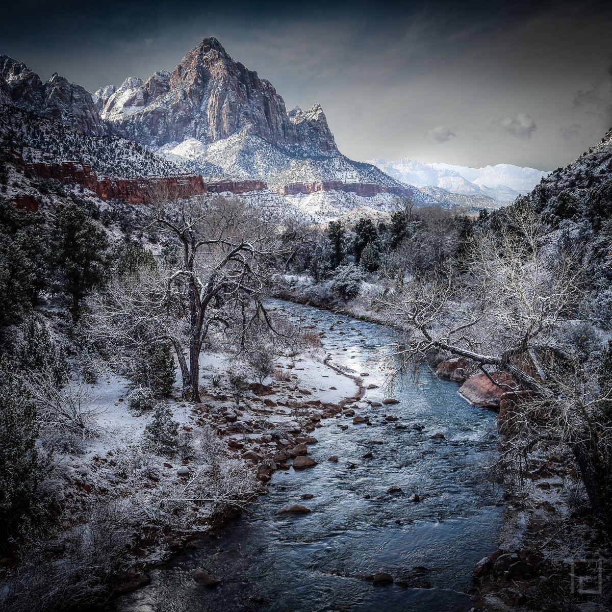 Zion River 1 - 01137