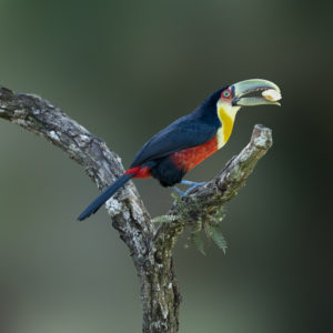 R_EDU2130
