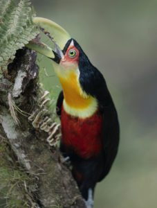 R_EDU5092 copiar