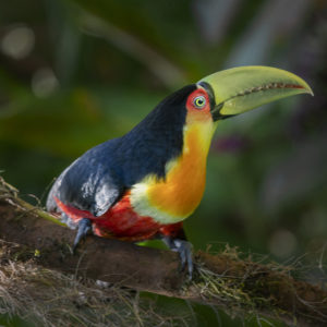 R_EDU7283-1