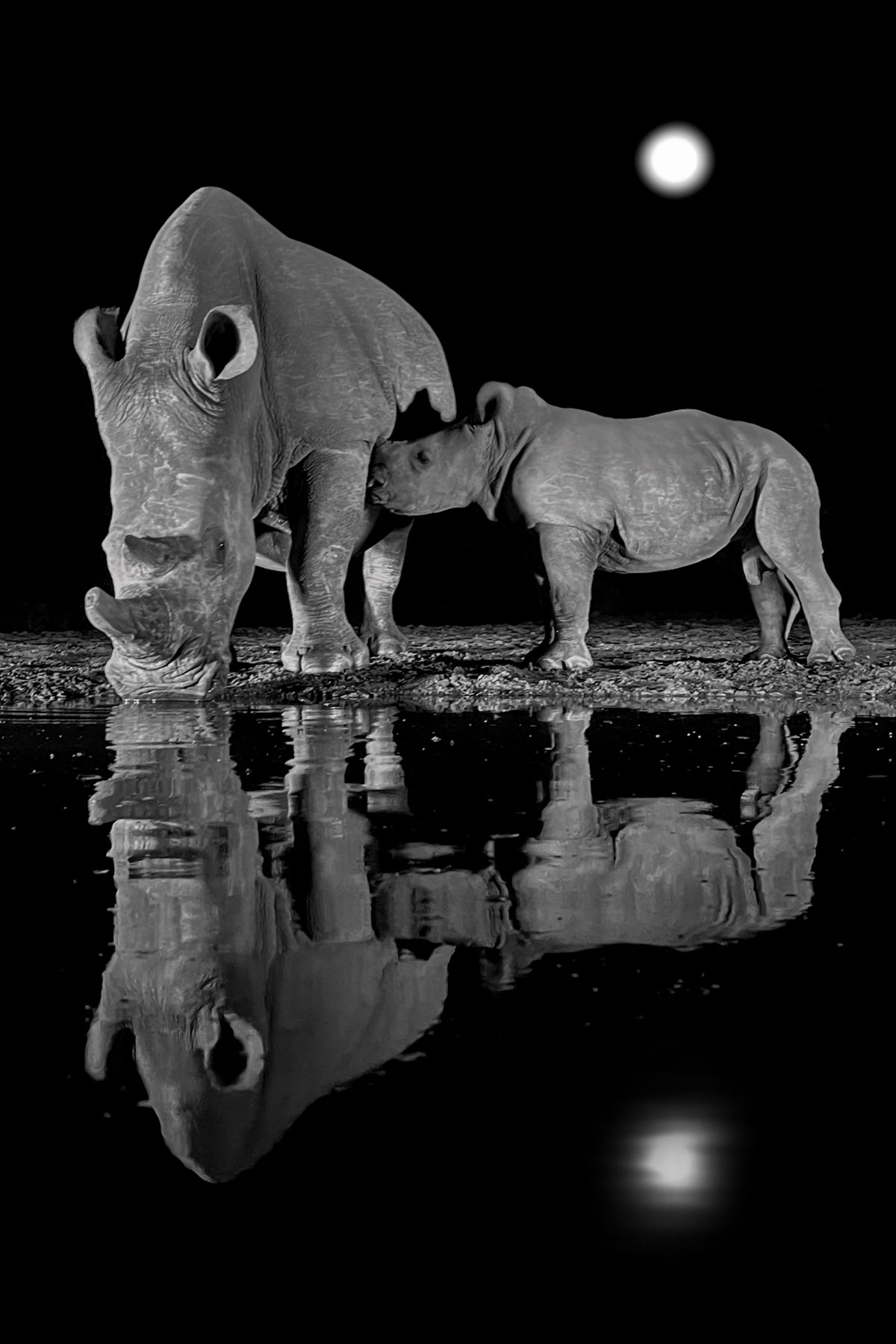 3221
