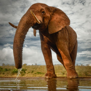R_EDU9566