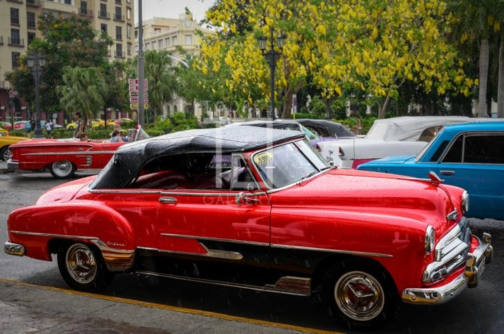 imagem_2023-07-17_032255419